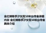 全红婵陈芋汐女双10米台夺金详细内容 全红婵陈芋汐女双10米台夺金具体介绍