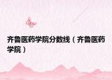 齐鲁医药学院分数线（齐鲁医药学院）
