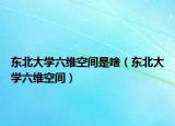 东北大学六维空间是啥（东北大学六维空间）