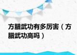 方腊武功有多厉害（方腊武功高吗）