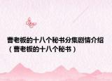 曹老板的十八个秘书分集剧情介绍（曹老板的十八个秘书）