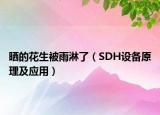 晒的花生被雨淋了（SDH设备原理及应用）