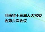 河南省十三届人大常委会第六次会议