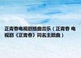正青春电视剧插曲音乐（正青春 电视剧《正青春》同名主题曲）