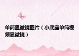 单筒显微镜图片（小底座单筒视频显微镜）