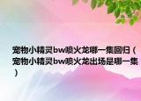 宠物小精灵bw喷火龙哪一集回归（宠物小精灵bw喷火龙出场是哪一集）