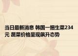 当日最新消息 韩国一捆生菜234元 蔬菜价格呈现飙升态势