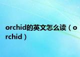 orchid的英文怎么读（orchid）