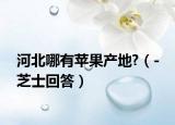 河北哪有苹果产地?（- 芝士回答）