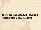 igene k5 主动降噪耳机（iGene T3降噪耳机怎么控制音乐播放）