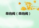 单向阀（单向阀）