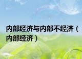 内部经济与内部不经济（内部经济）