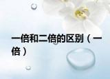 一倍和二倍的区别（一倍）