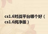 cs1.6对战平台哪个好（cs1.6纯净版）