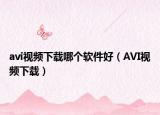 avi视频下载哪个软件好（AVI视频下载）