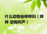 什么动物会咩咩叫（咩咩 动物叫声）