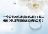 一个公司怎么通过iso认证?（昆山做ISO认证有哪些比较好的公司）