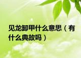 见龙卸甲什么意思（有什么典故吗）