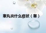 睾丸炎什么症状（睾）
