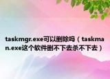 taskmgr.exe可以删除吗（taskman.exe这个软件删不下去杀不下去）