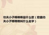 功夫小子棒棒棒是什么歌（歌曲功夫小子棒棒棒叫什么名字）