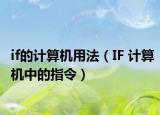 if的计算机用法（IF 计算机中的指令）