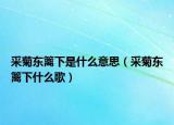采菊东篱下是什么意思（采菊东篱下什么歌）