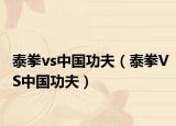 泰拳vs中国功夫（泰拳VS中国功夫）