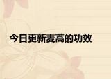 今日更新麦蒿的功效