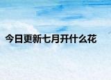 今日更新七月开什么花