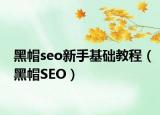 黑帽seo新手基础教程（黑帽SEO）