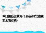 今日更新股票为什么会涨跌(股票怎么看涨跌)