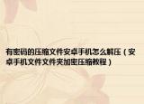 有密码的压缩文件安卓手机怎么解压（安卓手机文件文件夹加密压缩教程）