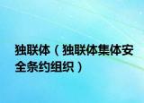 独联体（独联体集体安全条约组织）