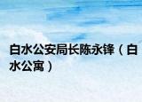 白水公安局长陈永锋（白水公寓）