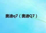 奥迪q7（奥迪Q7）