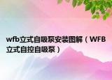 wfb立式自吸泵安装图解（WFB立式自控自吸泵）