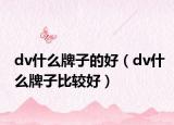 dv什么牌子的好（dv什么牌子比较好）