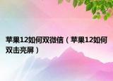 苹果12如何双微信（苹果12如何双击亮屏）