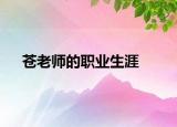 苍老师的职业生涯