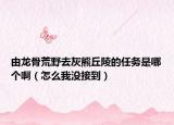 由龙骨荒野去灰熊丘陵的任务是哪个啊（怎么我没接到）