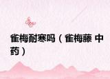 雀梅耐寒吗（雀梅藤 中药）