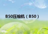 B50压缩机（B50）