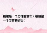 福建是一个怎样的城市（福建是一个怎样的省份）