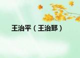 王治平（王治郅）