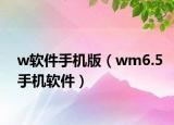 w软件手机版（wm6.5手机软件）