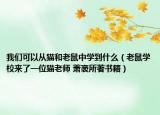 我们可以从猫和老鼠中学到什么（老鼠学校来了一位猫老师 萧袤所著书籍）