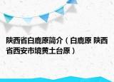 陕西省白鹿原简介（白鹿原 陕西省西安市境黄土台原）