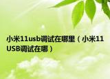 小米11usb调试在哪里（小米11USB调试在哪）