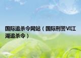 国际追杀令网站（国际刑警Ⅵ江湖追杀令）